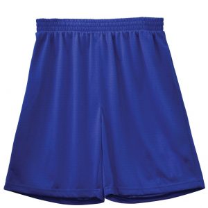 AIRPASS BASKETBALL SHORTS Kids